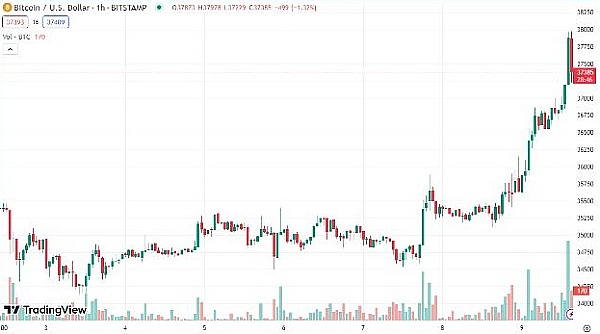 Scroll主网上线首周：揭秘用户都在玩什么？